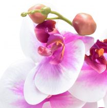 Prodotto Orchidea Phalaenopsis Artificiale 4 Fiori Bianco Rosa 72cm