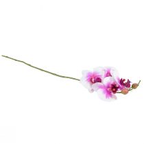 Prodotto Orchidea Phalaenopsis Artificiale 4 Fiori Bianco Rosa 72cm