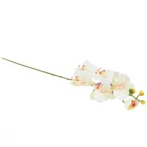 Prodotto Orchidea Phalaenopsis artificiale 6 fiori rosa crema 70 cm
