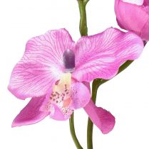 Prodotto Orchidea Phalaenopsis artificiale 6 fiori viola 70 cm