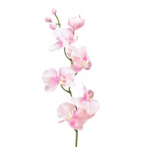 Orchidea Phalaenopsis artificiale 6 fiori rosa 70 cm
