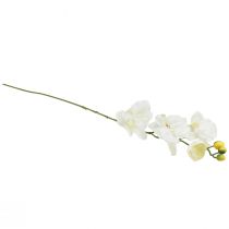 Prodotto Orchidea Phalaenopsis artificiale 6 fiori bianco crema 70 cm