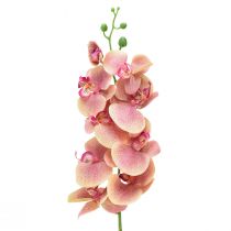 Prodotto Orchidea Phalaenopsis artificiale 9 fiori rosa vaniglia 96 cm