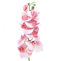 Orchidea Phalaenopsis artificiale 9 fiori rosa bianco 96 cm