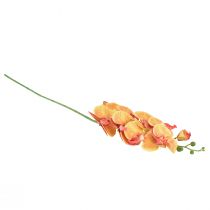 Prodotto Orchidea Phalaenopsis artificiale 9 fiori rosso giallo 96 cm