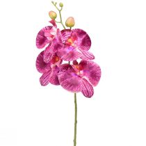 Orchidea Phalaenopsis artificiale fiammata viola 72cm