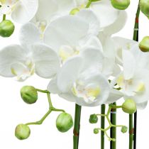 Orchidee artificiali in vaso pianta artificiale bianca 63cm