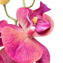 Prodotto Orchidea artificiale Phalaenopsis Orchidea Fucsia 78cm