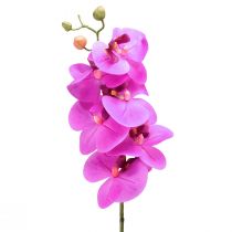 Prodotto Orchidea artificiale Phalaenopsis Orchidea Rosa 78 cm