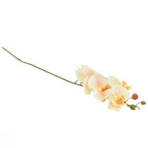 Prodotto Orchidea artificiale Phalaenopsis crema arancione 78 cm