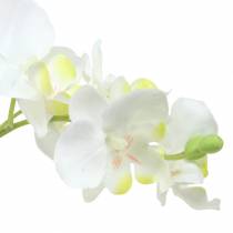 Orchidee bianche in vaso pianta artificiale H35cm