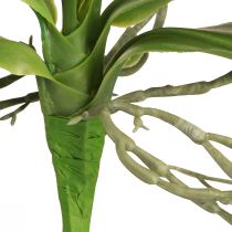 Prodotto Foglie di orchidea con radici aeree artificiali 34x8x18cm