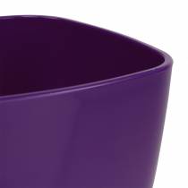 Prodotto Vaso per orchidee, lucido, Ø12,5 cm, viola