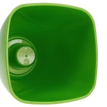 Prodotto Vaso per orchidee lucido Ø12,5 cm lime 1 pz