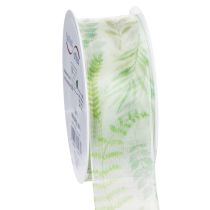 Prodotto Nastro in organza, nastro in chiffon, verde con viticci di foglie, largo 40 mm, lungo 15 m