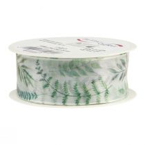 Prodotto Nastro di organza nastro di chiffon foglie rami verdi 40mm 15m