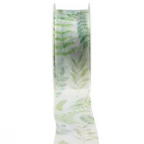Prodotto Nastro di organza nastro di chiffon viticci foglia verde 40mm 15m