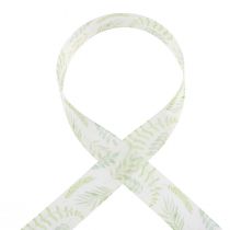 Prodotto Nastro di organza nastro di chiffon viticci foglia verde 40mm 15m