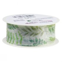 Prodotto Nastro di organza nastro di chiffon viticci foglia verde 40mm 15m
