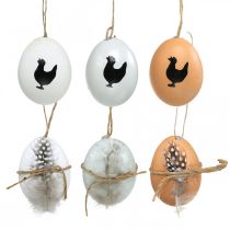 Decorazioni pasquali, uova di gallina da appendere, uova decorative piuma e pollo, marrone, blu, bianco set da 6