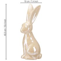Prodotto Coniglietto pasquale in ceramica beige Coniglietto in ceramica grande H49,5cm