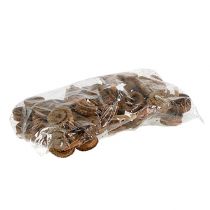 Prodotto Palma Maschio Natura 25 pz