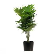 Prodotto Vaso decorativo per piante artificiali di palma a ventaglio verde 80 cm