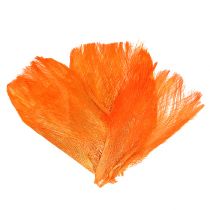 Fibra di palma pastello arancio chiaro 400gr