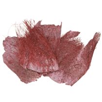 Prodotto Fibra di palma per artigianato Bordeaux bianco lavato 20-40cm 250g