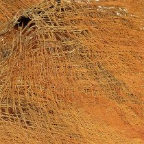 Fibra di palma naturale 1kg