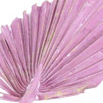 Prodotto Palmspear Mix Bacche Rosa, Fiorista Commemorativa Lavata Bianca 65 pz