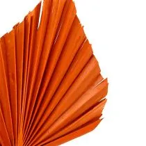 Prodotto Palmspear Orange 65 pezzi