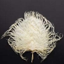 Prodotto Fronde di palma secche, foglie decorative sbiancate, 45 cm, 5 pezzi