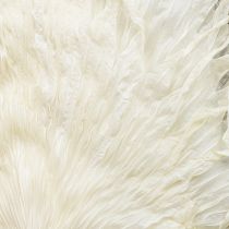 Prodotto Fronde di palma secche, foglie decorative sbiancate, 45 cm, 5 pezzi