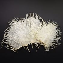 Prodotto Fronde di palma secche, foglie decorative sbiancate, 45 cm, 5 pezzi