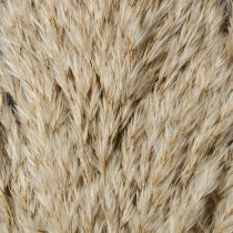 Prodotto Decorazione essiccata di erba della pampa per vasi e composizioni