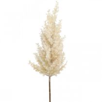Pampas Grass Cream Artificiale Secco Floristica Deco Grass 72cm