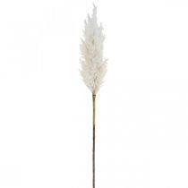 Prodotto Piante artificiali di erba secca artificiale bianca dell&#39;erba della pampa