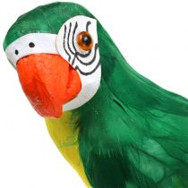 Deco Parrot Green 44cm