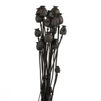 Prodotto Capsule di fiori secchi di papavero essiccati Papaver nero 80g