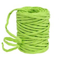 Cavo di carta 6 mm 23 m verde mela