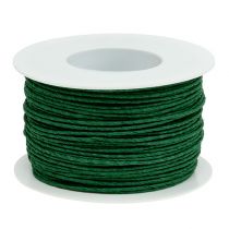 Filo di corda di carta avvolto intorno a Ø2mm 100m verde