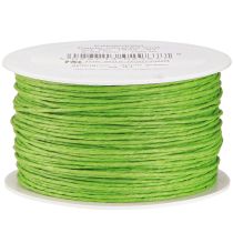 Prodotto Cordino di carta avvolto in filo Ø2mm 100m verde mela