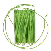 Prodotto Cordino di carta avvolto in filo Ø2mm 100m verde mela