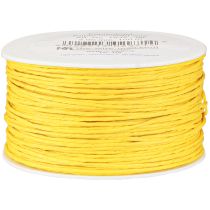Prodotto Cordino di carta avvolto in filo Ø2mm 100m giallo