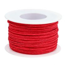 Cavo di carta filo avvolto in Ø2mm 100m rosso
