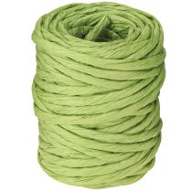 Prodotto Cordino di carta verde decorativo senza filo larghezza 6mm 23m