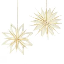 Prodotto Stelle di carta decorazioni per albero stelle oro bianco Ø15cm 6 pz