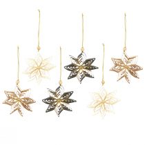 Prodotto Decorazioni natalizie a forma di stella di carta da 10 cm, bianche, marroni e verdi, 6 pezzi