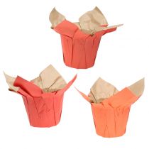Fioriera in carta arancione / rossa Ø10cm 12 pezzi